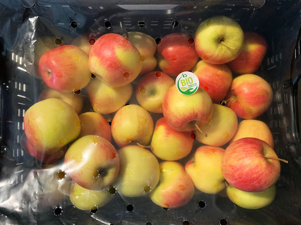 NOUVEAU : Panier de 5Kg de pommes jubilé BIO de notre Région en retrait du mercredi au dimanche